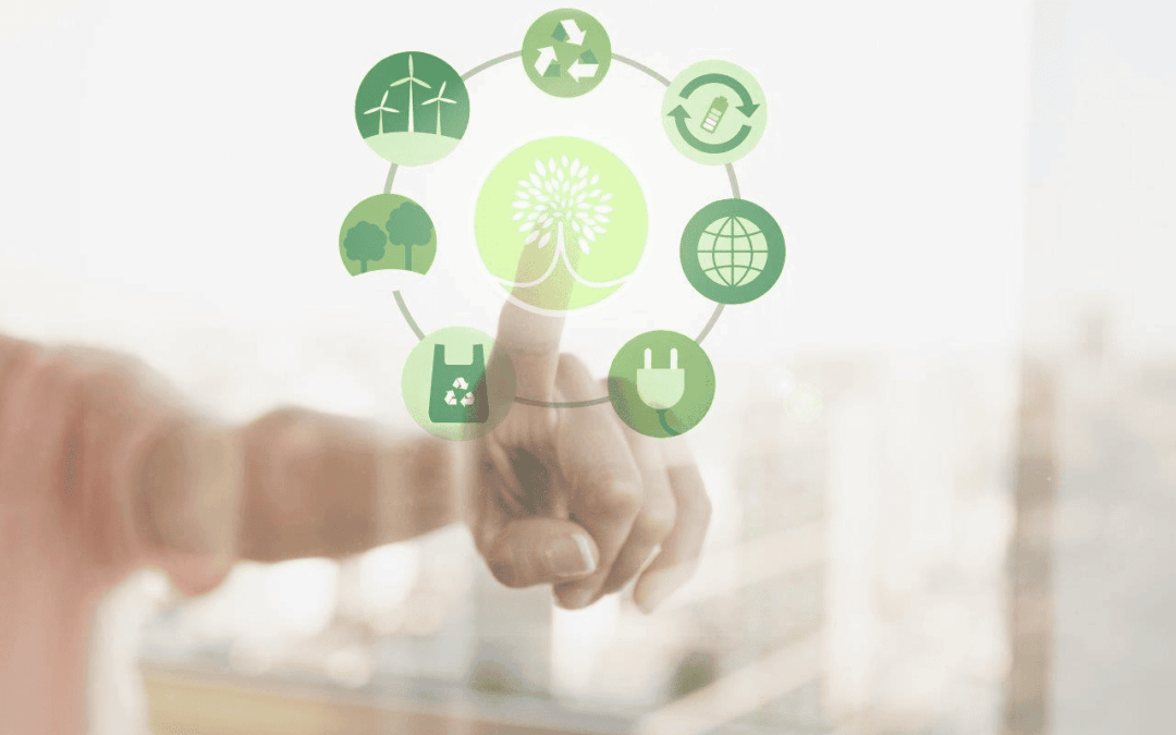 RBH CSDDD Informativni list